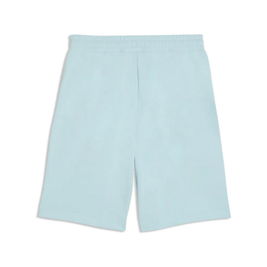 PUMA ESS 2 COLOR No. 1 Logo Shorts 10" TR Short 