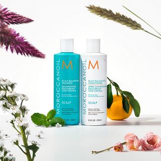 MOROCCANOIL  Scalp Balancing Conditioner 