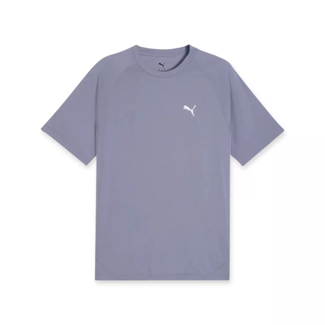 Puma - T-Shirt, für Herren, Grau-Blau, Größe XL