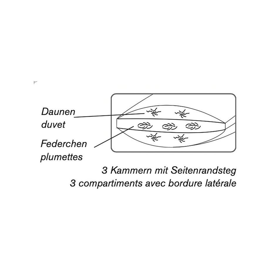 DOR Oreiller mi-ferme 3 compartiments avec bordure latérale  
