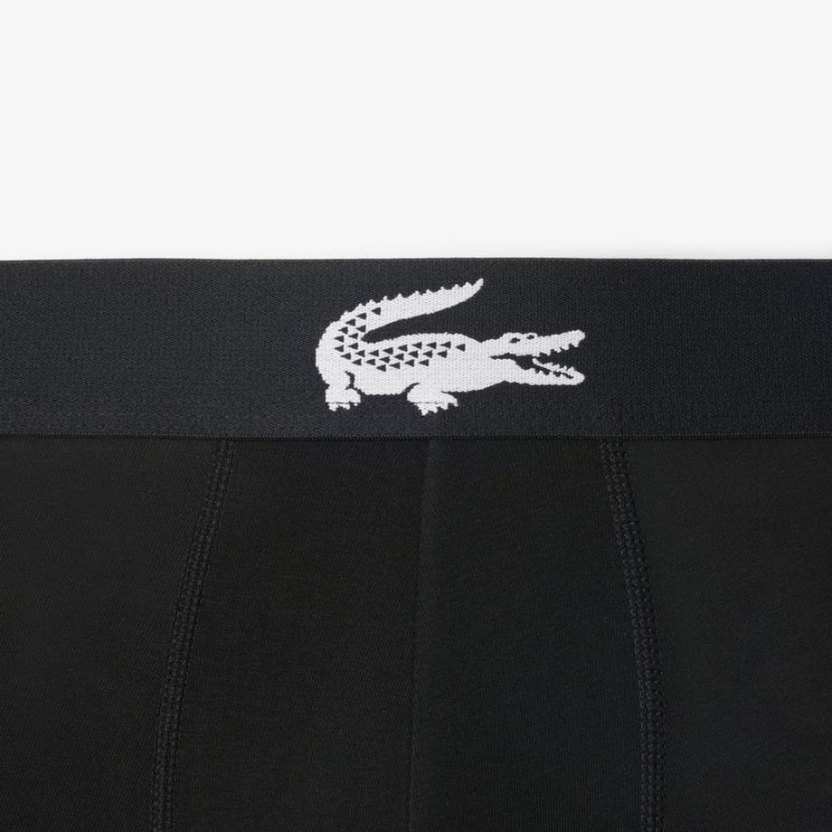 LACOSTE  Pantys, lot de 3 
