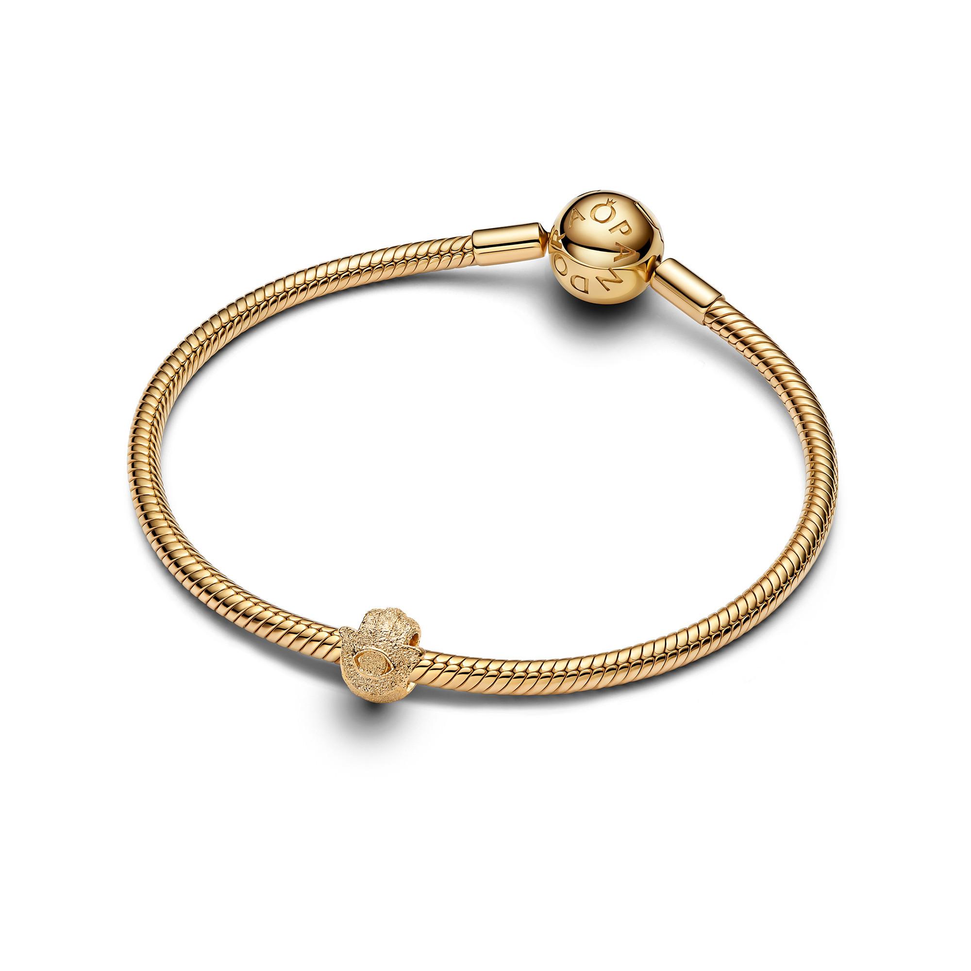 PANDORA Pandora Moments Charm 