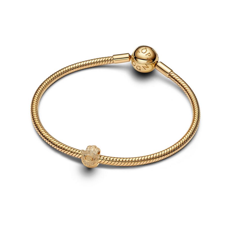 PANDORA Pandora Moments Charm 