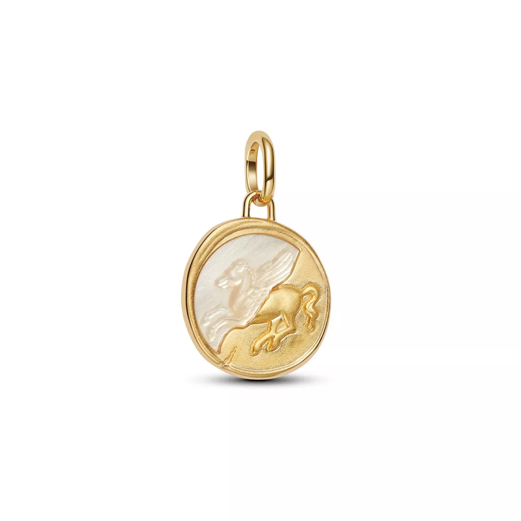 Pandora - Charm,  ME, One Size, Zweifarbig