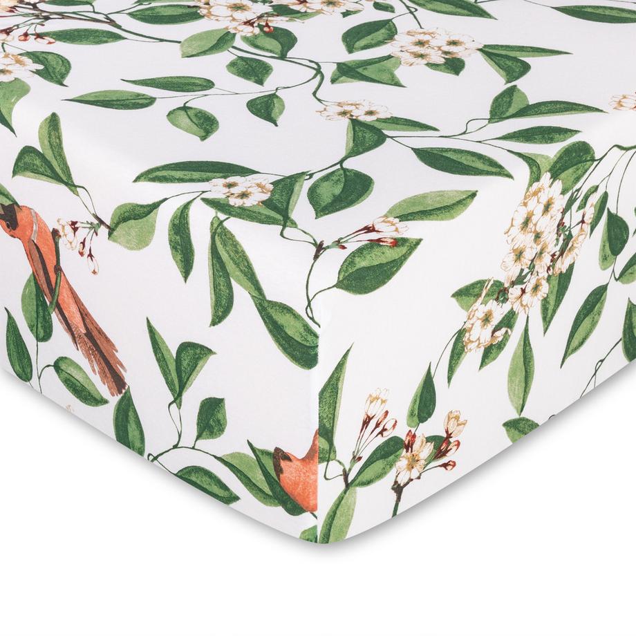 Manor Bidosa Drap-housse Imprimé Floral et Oiseaux  