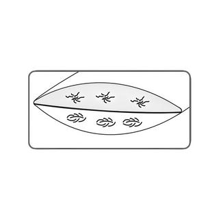 DOR Paradis 2-Kammer-Kissen  