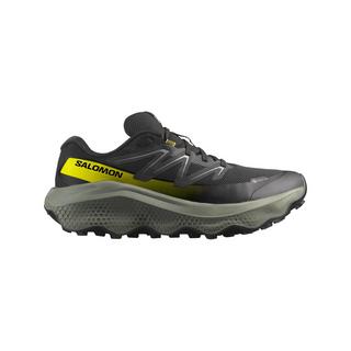 SALOMON ULTRA FLOW 2 GTX Trekkingschuhe, low top 