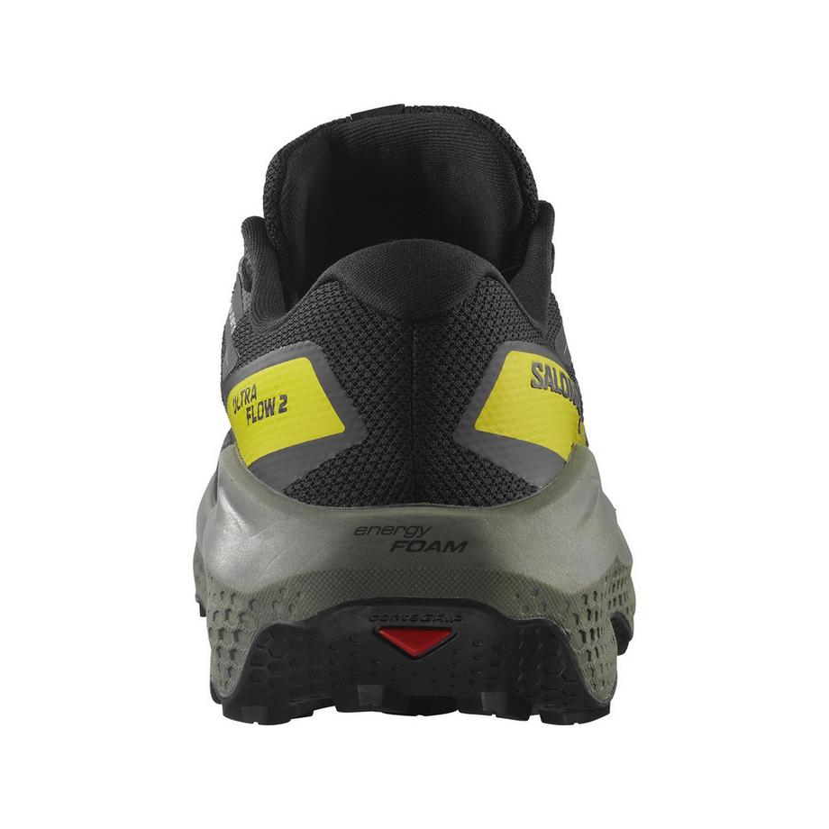 SALOMON ULTRA FLOW 2 GTX Trekkingschuhe, low top 
