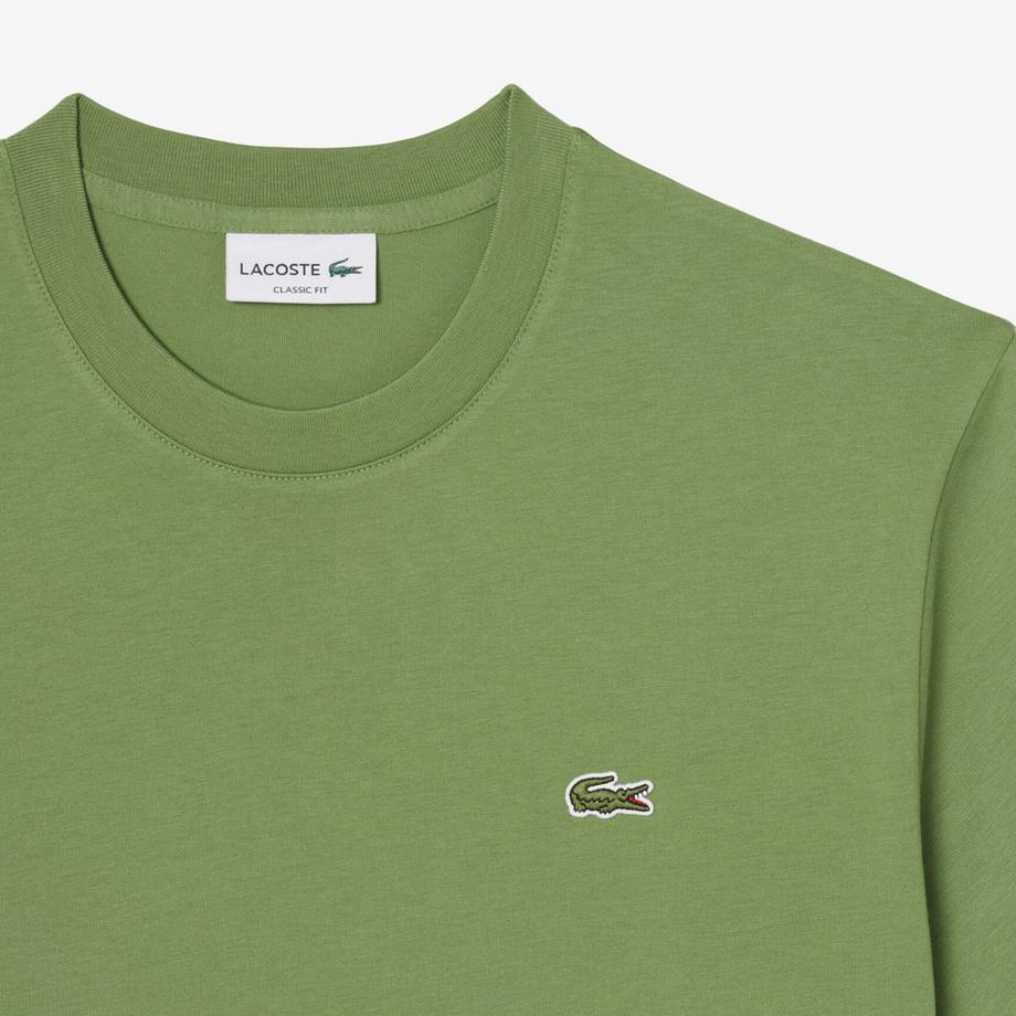 LACOSTE T-shirt  