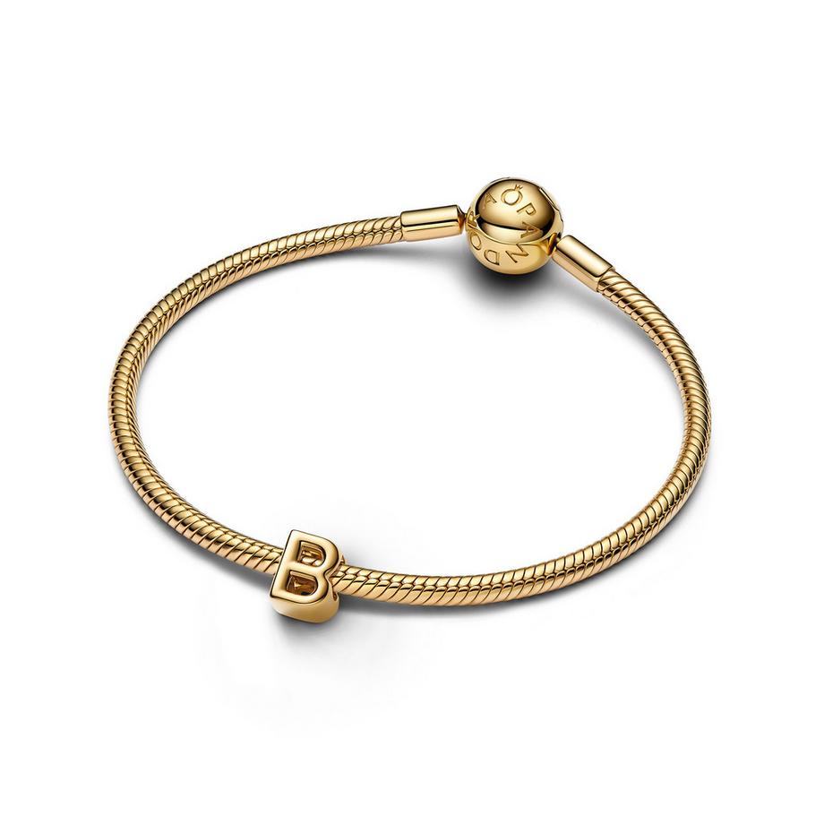 PANDORA Pandora Moments Charm 