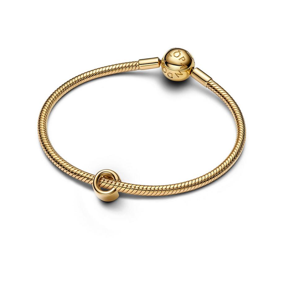 PANDORA Pandora Moments Charm 