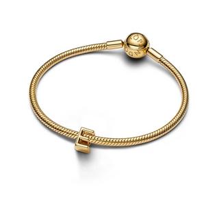 PANDORA Pandora Moments Charm 