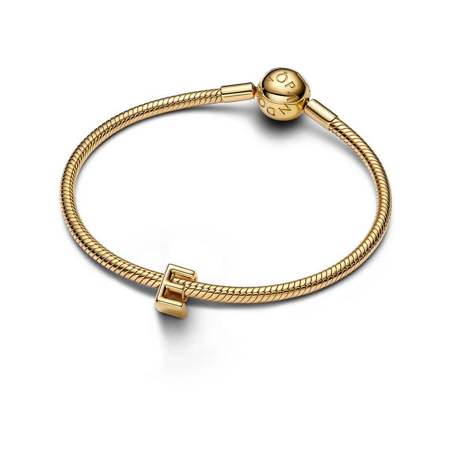 PANDORA Pandora Moments Charm 