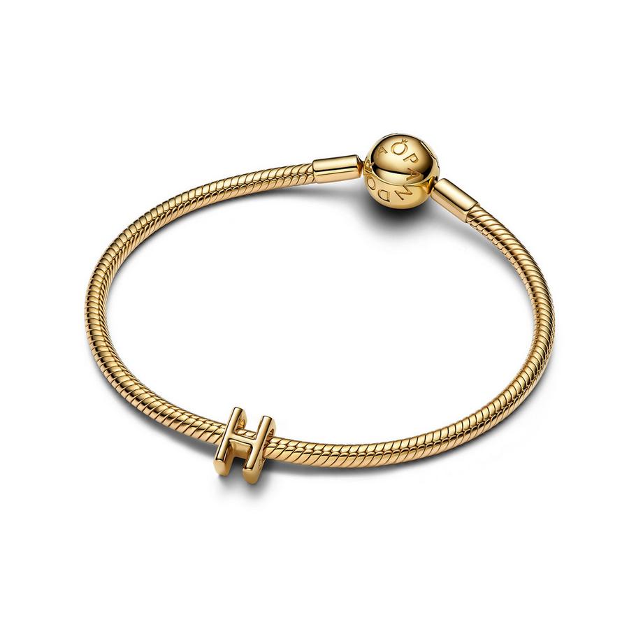 PANDORA Pandora Moments Charm 