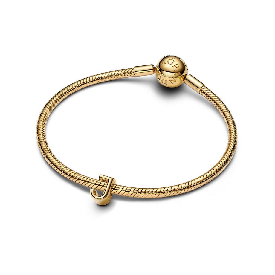PANDORA Pandora Moments Charm 