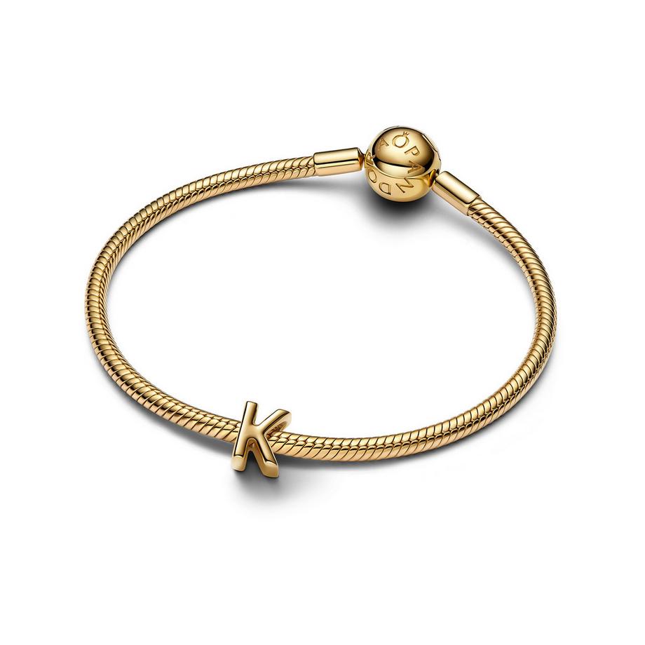 PANDORA Pandora Moments Charm 