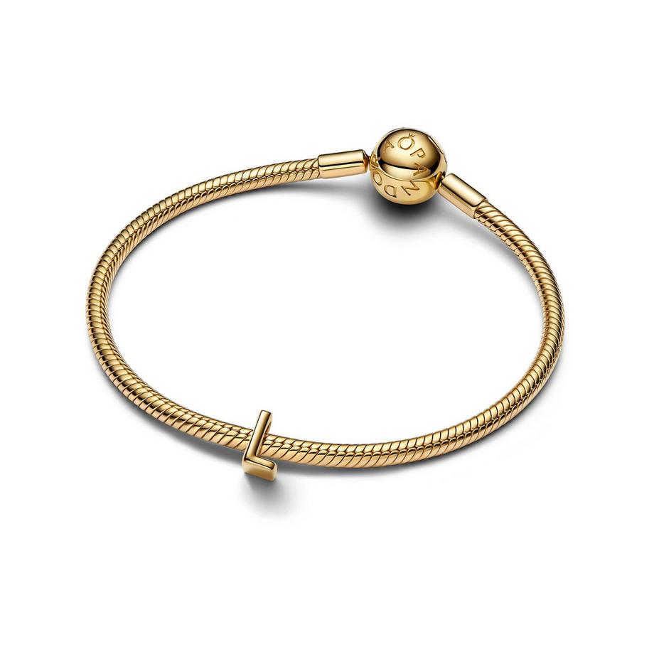 PANDORA Pandora Moments Charm 