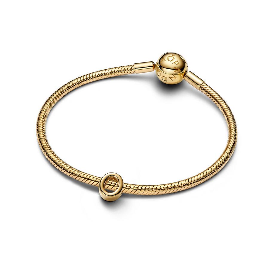 PANDORA Pandora Moments Charm 