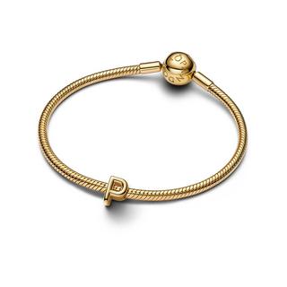 PANDORA Pandora Moments Charm 