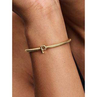 PANDORA Pandora Moments Charm 