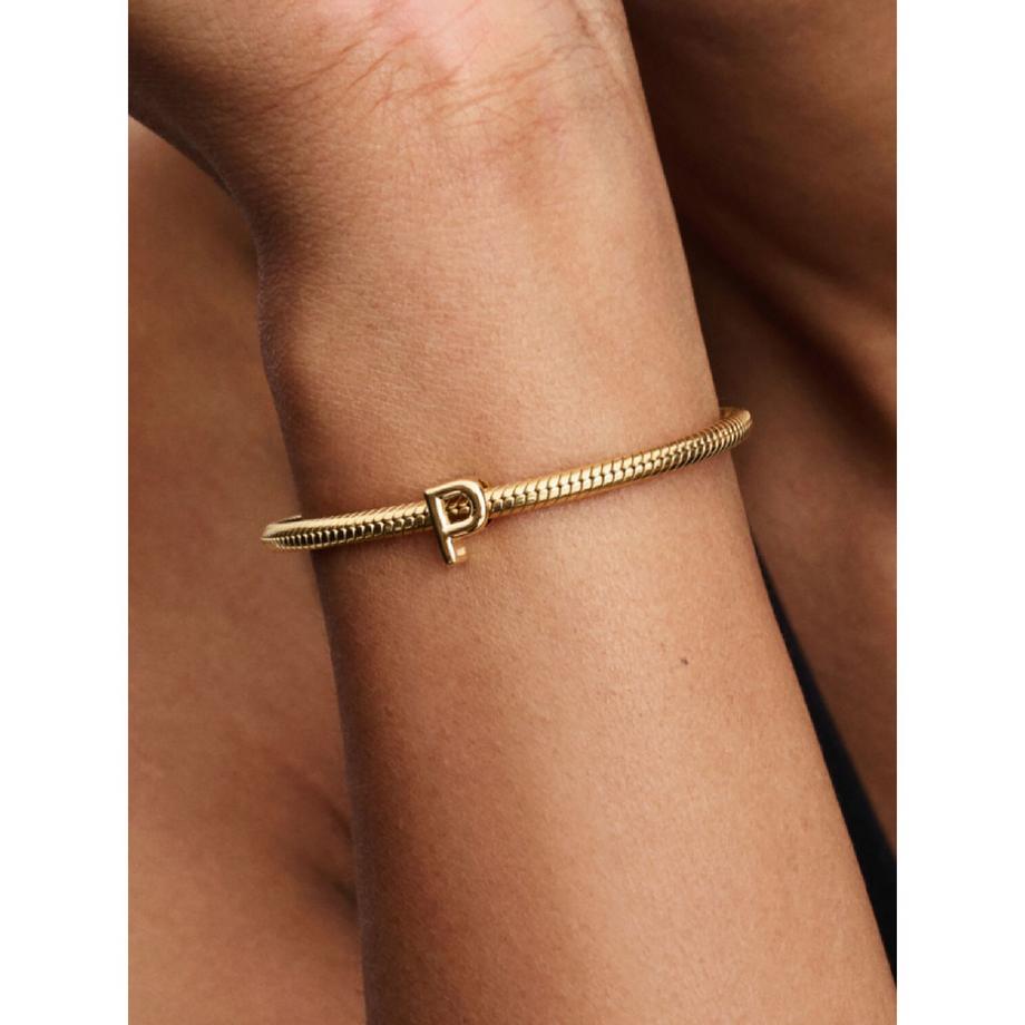 PANDORA Pandora Moments Charm 