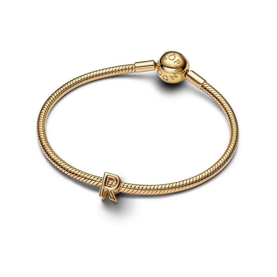 PANDORA Pandora Moments Charm 