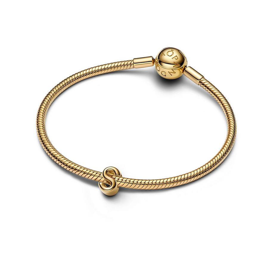PANDORA Pandora Moments Charm 
