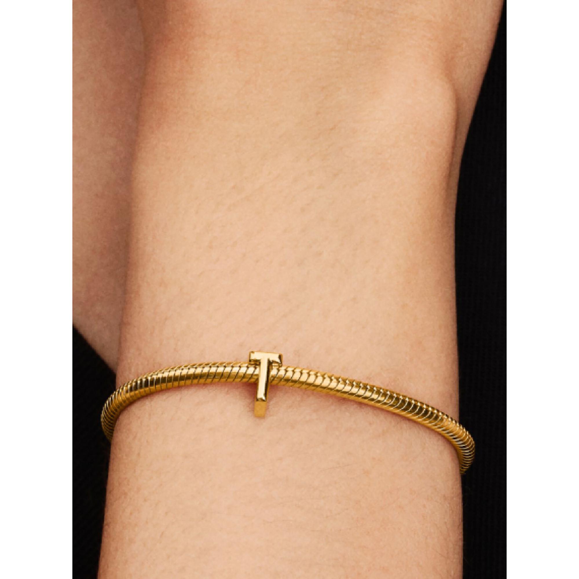 PANDORA Pandora Moments Charm 