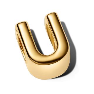 PANDORA Pandora Moments Charm 