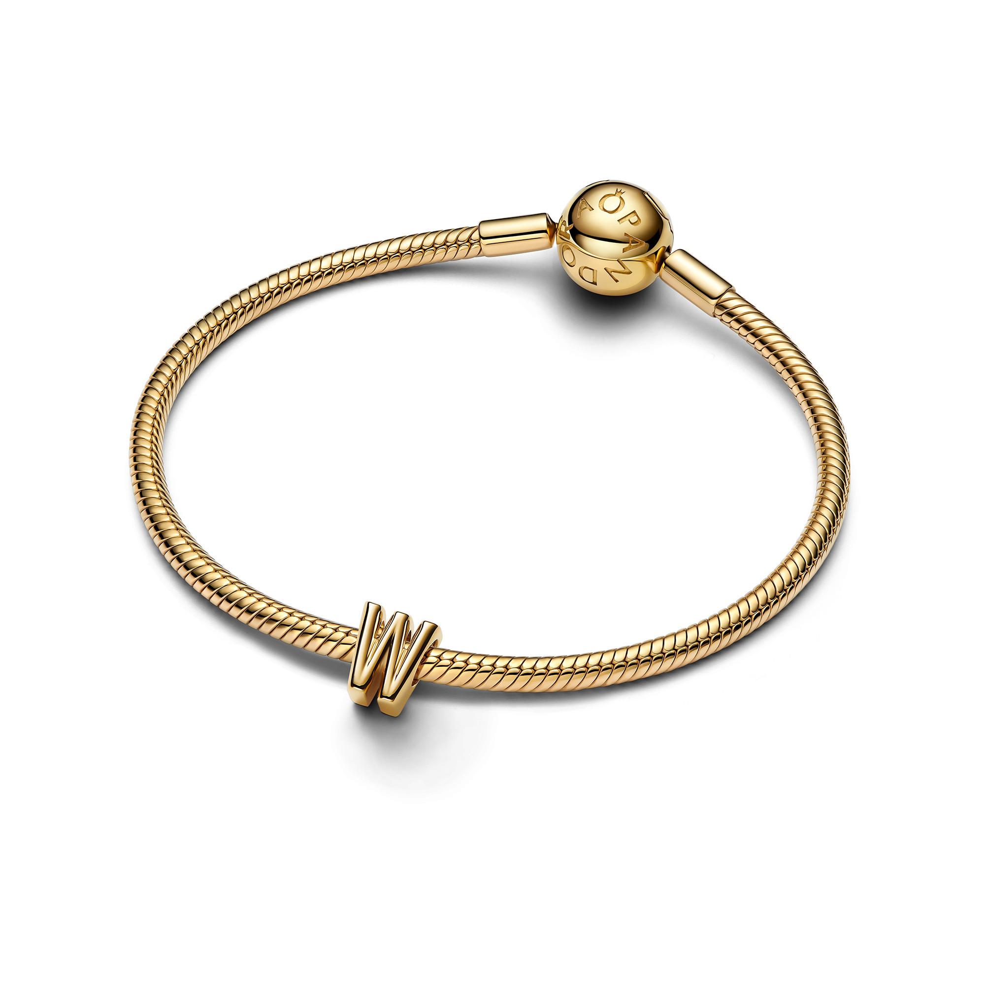 PANDORA Pandora Moments Charm 