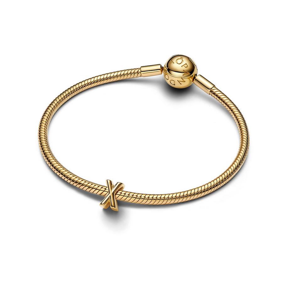 PANDORA Pandora Moments Charm 