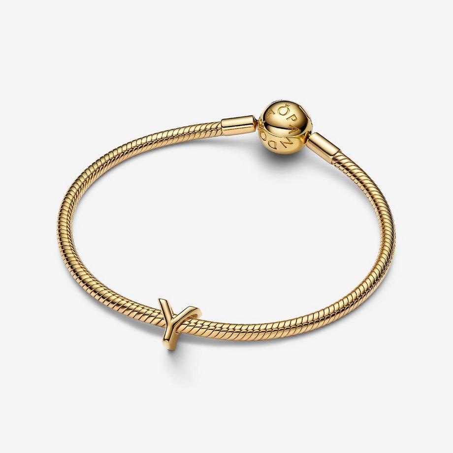 PANDORA Pandora Moments Charm 