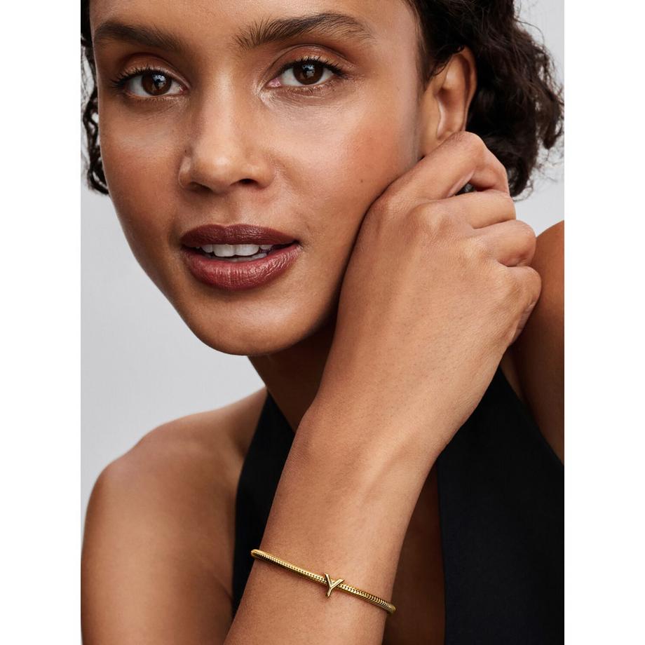 PANDORA Pandora Moments Charm 