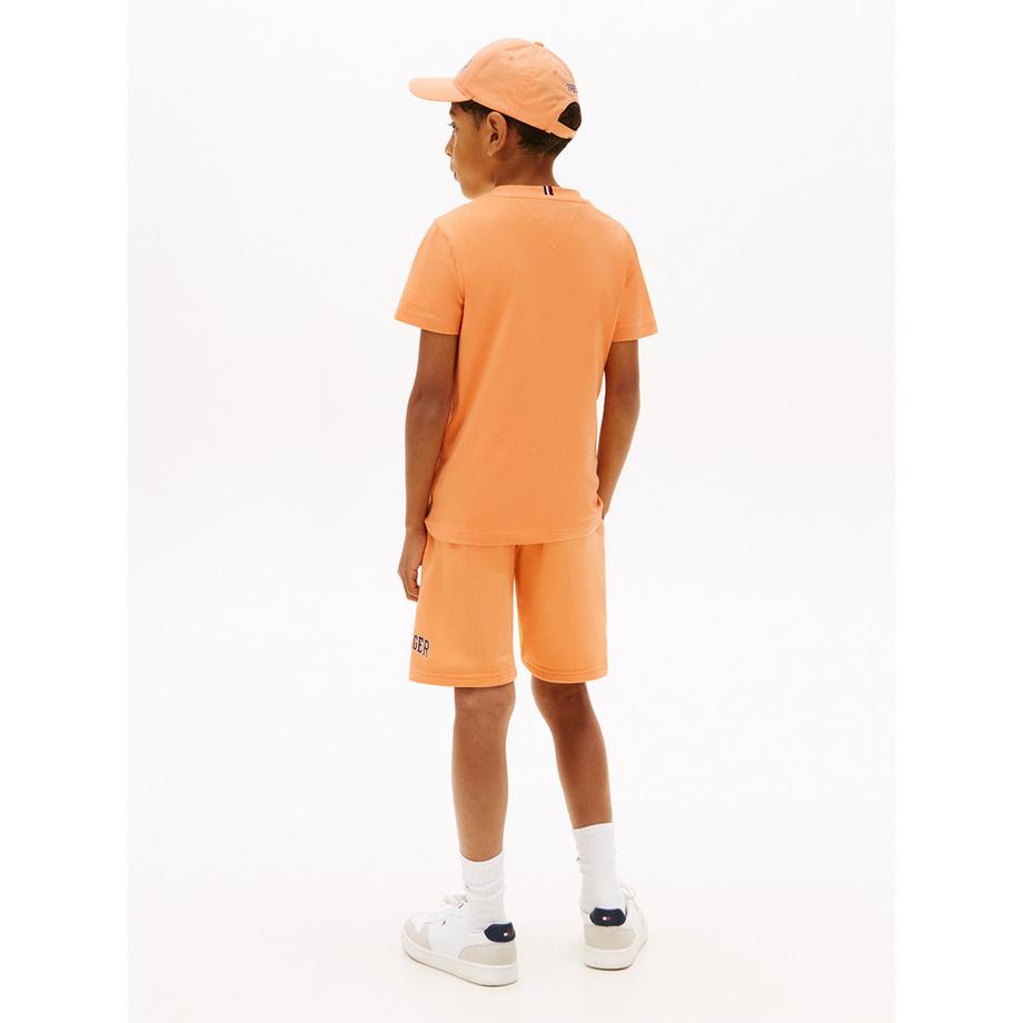 TOMMY HILFIGER  T-shirt 