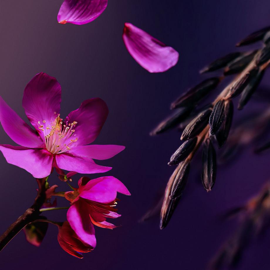 RITUALS  The Ritual of Sakura - Small Gift Set 