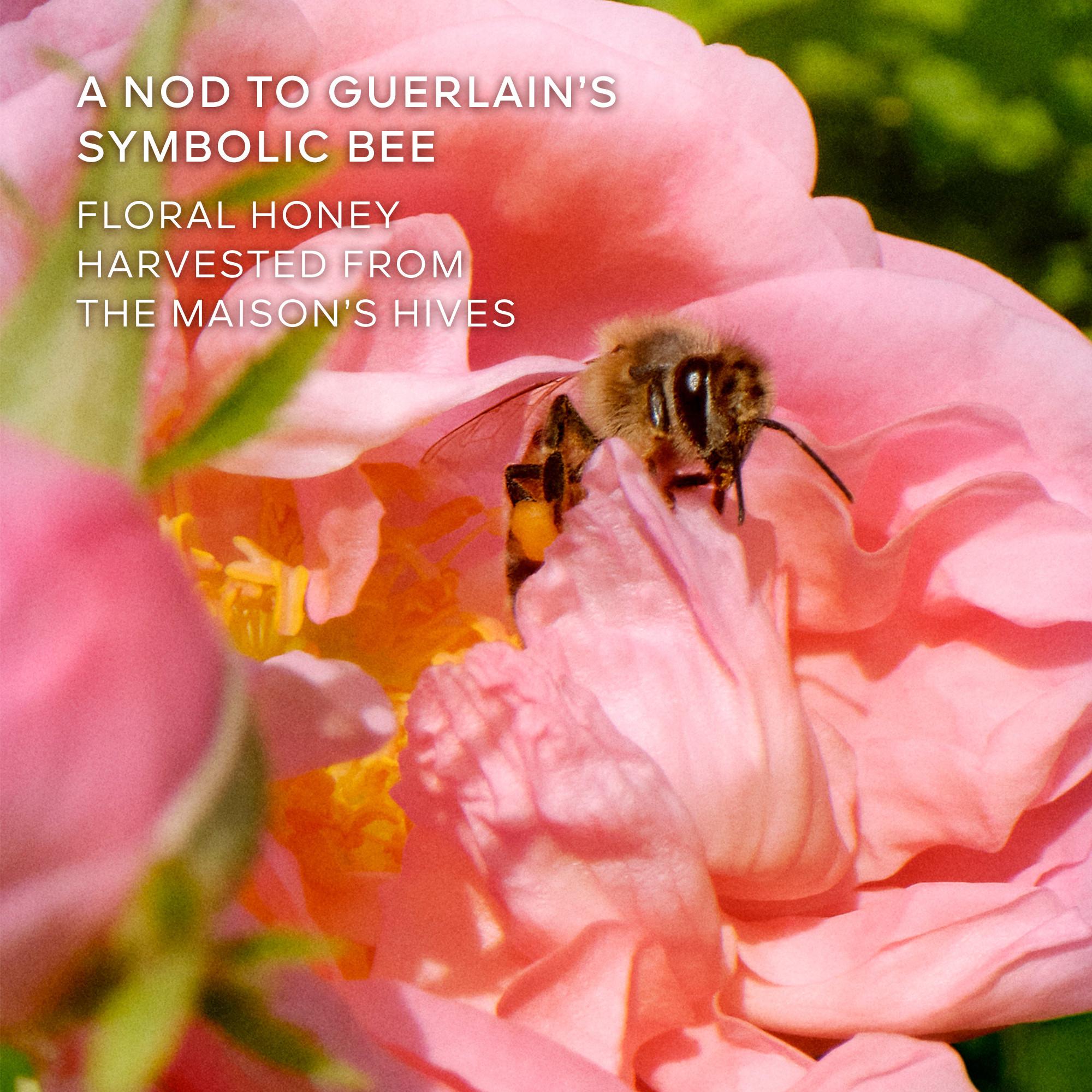 Guerlain La Petite Robe Noire Honey Rose – Eau de Parfum Limited Edition  