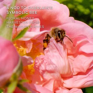 Guerlain La Petite Robe Noire Honey Rose – Eau de Parfum Limited Edition  