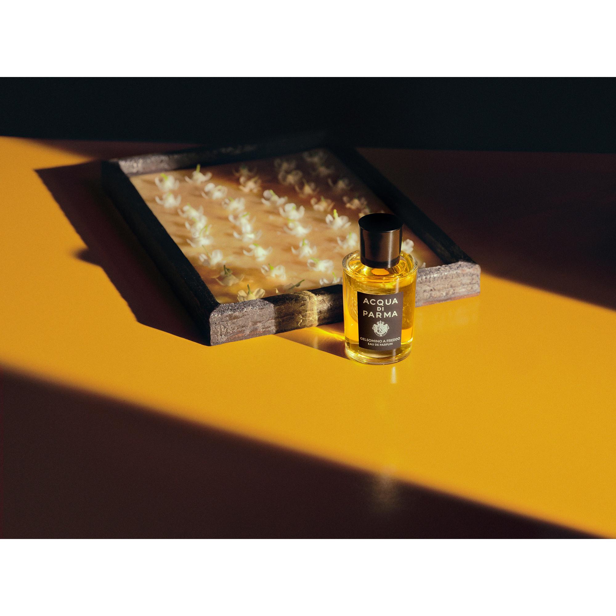 ACQUA DI PARMA Gelsomino al Freddo, Eau de Parfum  