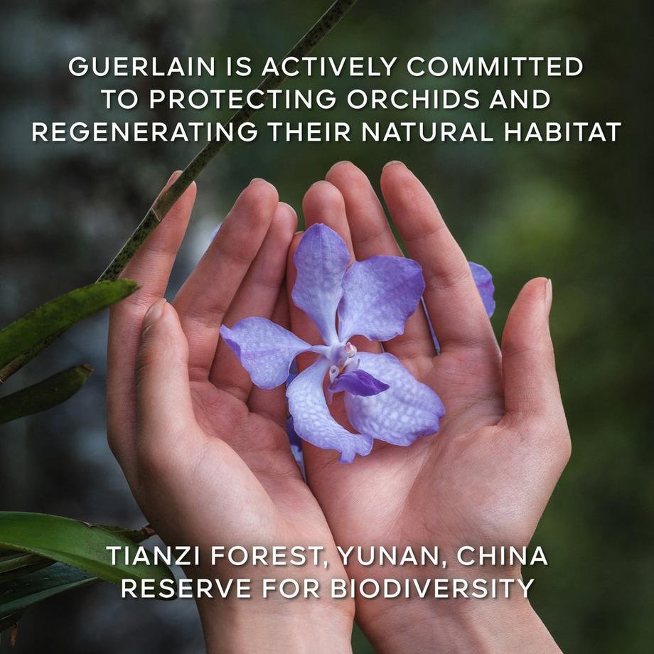 Guerlain  Orchidée Impériale La Crème de Longévité 