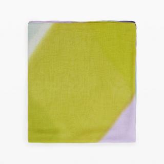 Desigual Gestreifter Schal  