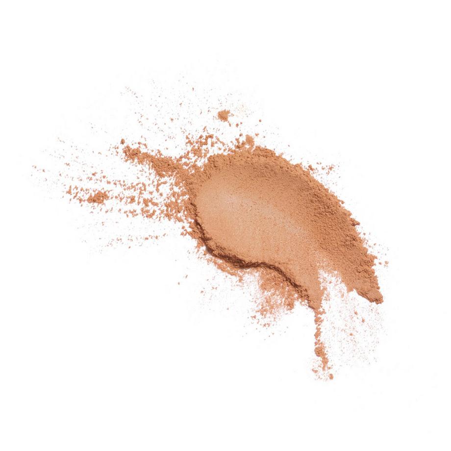 CHANEL POUDRE UNIVERSELLE LIBRE POUDRE LIBRE FINI NATUREL. FORMAT NOMADE 