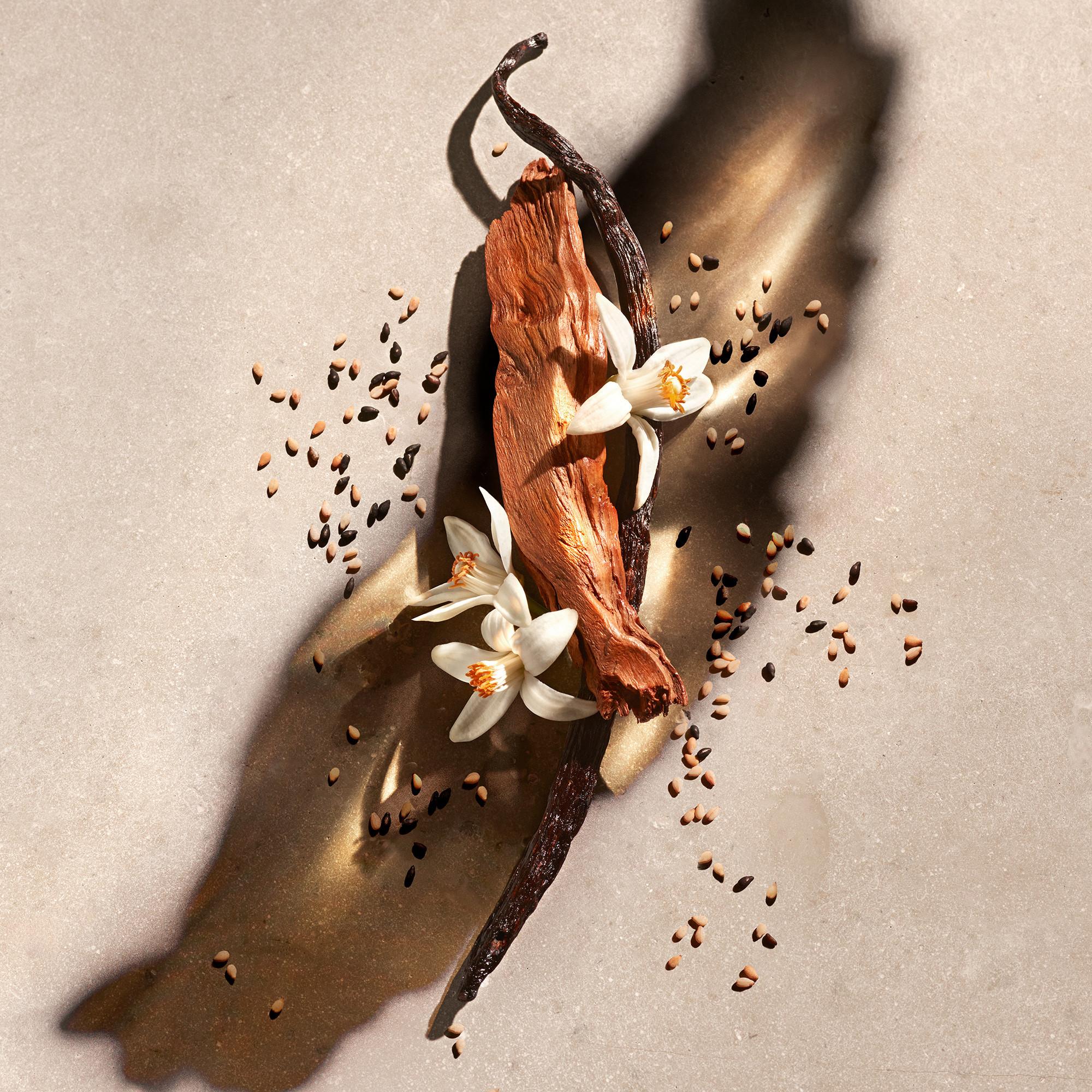 ZADIG & VOLTAIRE ZADIG Eau de Parfum Giftset  