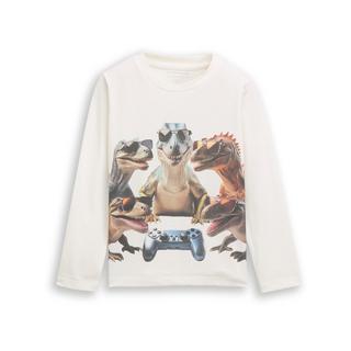 TOM TAILOR  T-Shirt, langarm 