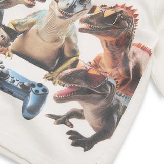 TOM TAILOR  T-Shirt, langarm 