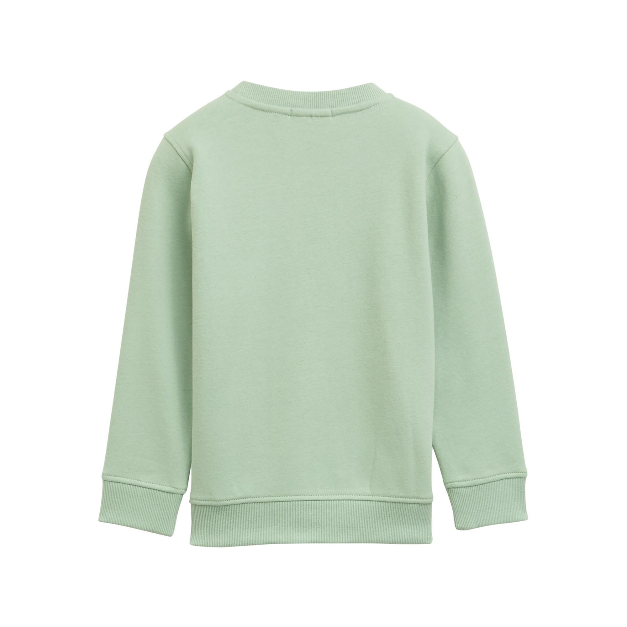 TOM TAILOR  Sweat-shirt 