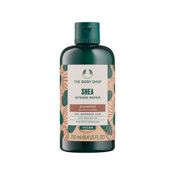 Shea Intense Repair Shampoo