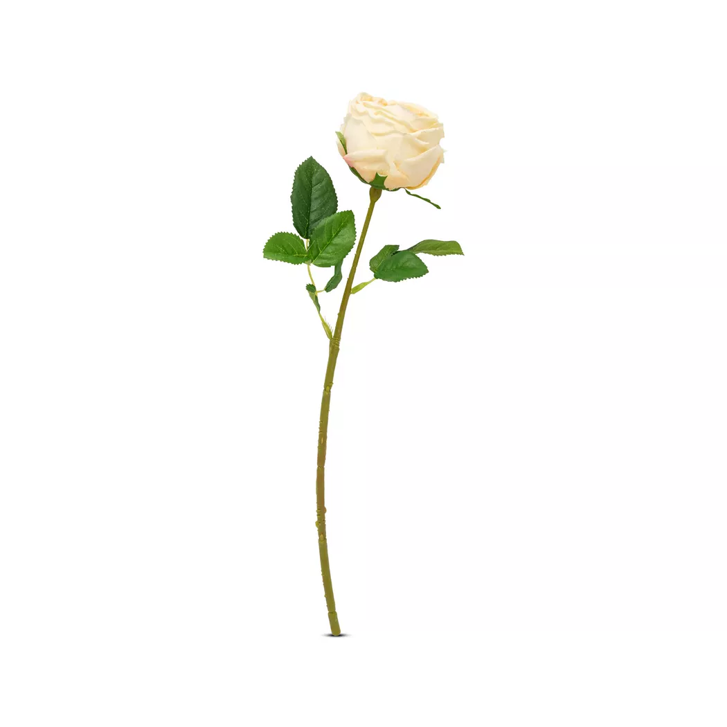 Manor - Kunstblume, 45cm, Creme