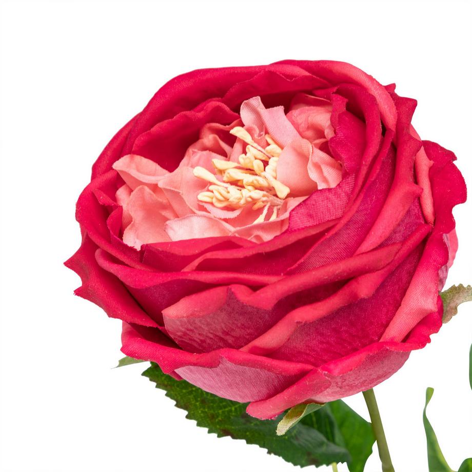 Manor Fleur artificielle Rosa Elide Ramo 