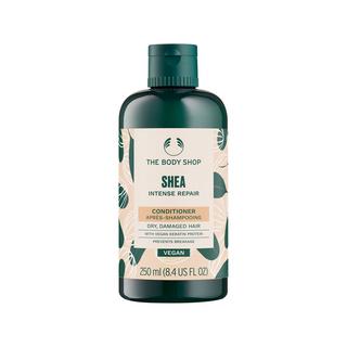 The Body Shop  Shea Intense Repair Conditioner 