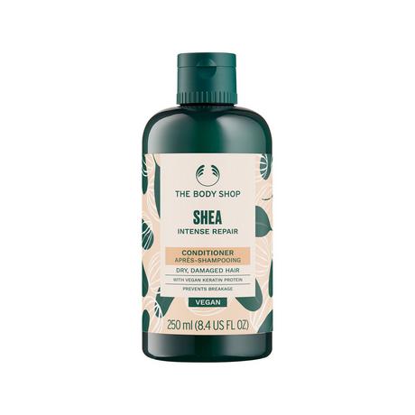 The Body Shop  Shea Intense Repair Conditioner 